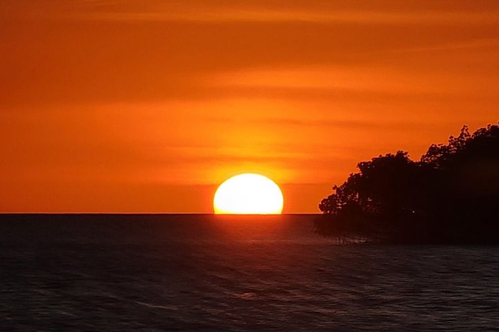 Sunset over ocean with orange sky and silhouetted trees on the right.